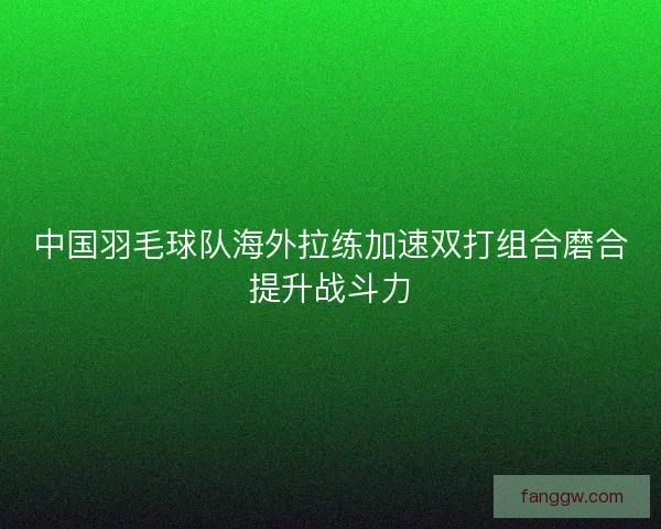 中国羽毛球队海外拉练加速双打组合磨合提升战斗力