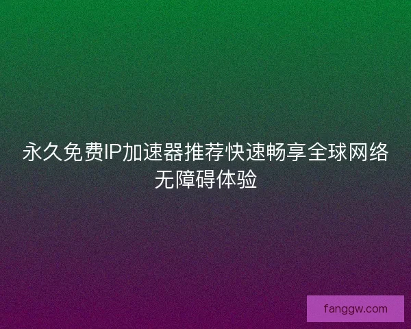 永久免费IP加速器推荐快速畅享全球网络无障碍体验