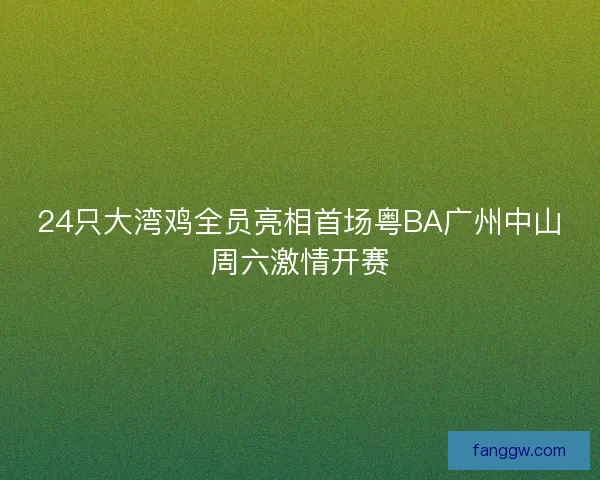 24只大湾鸡全员亮相首场粤BA广州中山周六激情开赛 24只大湾鸡全员亮相首场粤BA广州中山周六激情开赛